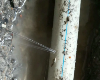 岗巴卫生间测漏水多少钱