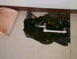 岗巴卫生间测漏水多少钱